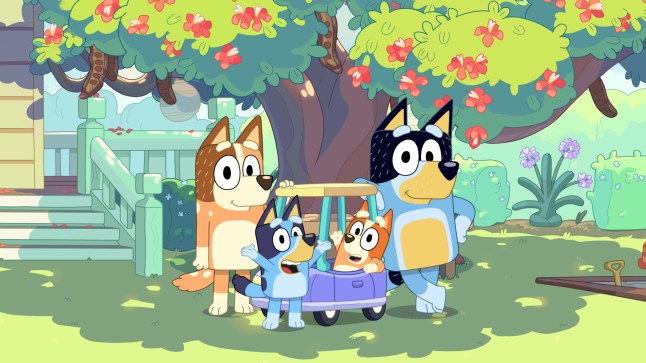 Chilli, Bandit, Bluey, and Bingo posing outside in front of a tree in Bluey