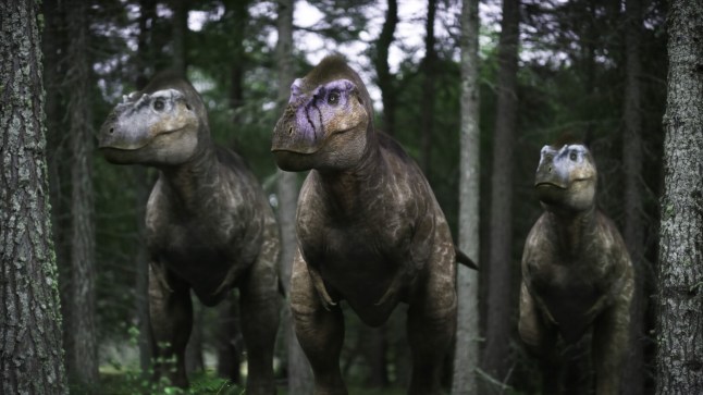 Three dinosaurs in Walking With Dinosaurs