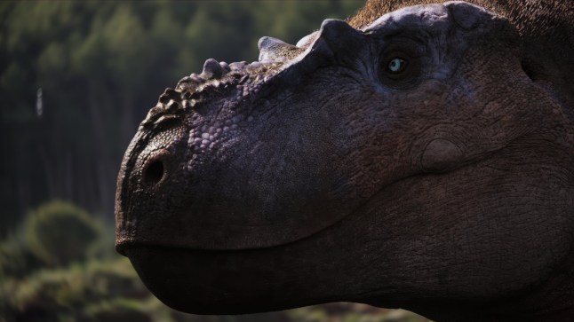 A close up of a dinosaur in Walking with Dinosaurs