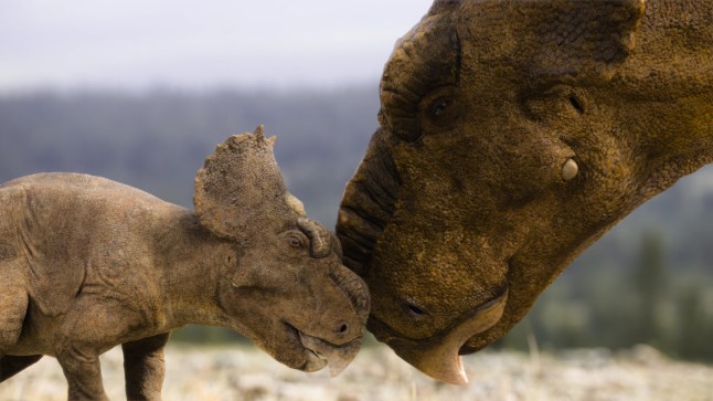 A still of two dinosaurs - mother and child - touching noses in Walking With Dinosaurs