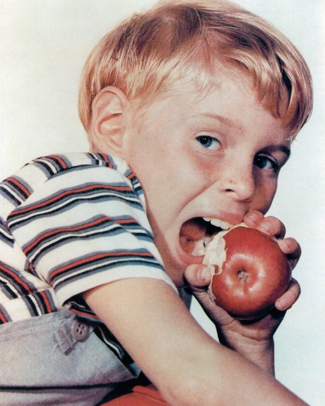Jay North, US actor, biting into an apple in a portrait issued as publicity for the US television series, 'Dennis the Menace', USA, circa 1960. The sitcom starred North as 'Dennis Mitchell'. (Photo by Silver Screen Collection/Getty Images)