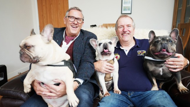 Dogs Behaving (Very) Badly S6 ep12. Graeme & Mark with Mooky, Milo & Yogi (Dogs)