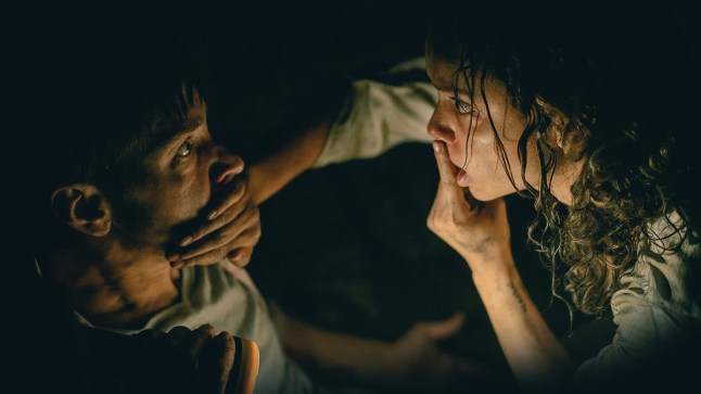 13416677 Netflix fans freak out over 'insanely scary' horror film that found its way into the top 10 - For a certain kind of movie, the greatest tribute you can pay is not being able to sit through to the end. At least, that?s what I like to think the two people who sprinted out of my screening of Barbarian on Friday night were trying to express by their abrupt exit. I?d like to tell you exactly what it was in this tense and twisted movie that might have prompted them to head for the doors, but I was a too busy suppressing the fight-or-flight instinct myself. Barbarian topped the box office when it opened in early September, which isn?t unusual for horror movies, whose fans tend to turn out in droves and then vanish almost as quickly. But it?s since defied conventional wisdom by holding onto its audience. Last weekend, it actually added 550 screens. And having seen it with a crowd, albeit one that was two people smaller by the time the credits rolled, it?s easy to see why.