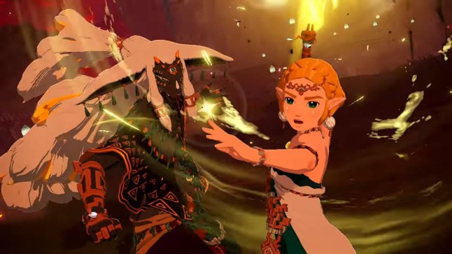 Zelda and Rauru striking battle poses in Hyrule Warriors Age of Imprisonment