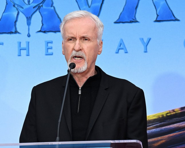 HOLLYWOOD, CALIFORNIA - JANUARY 12: James Cameron speaks during the Hand and Footprint Ceremony for Director James Cameron and Producer Jon Landau held at TCL Chinese Theatre on January 12, 2023 in Hollywood, California. (Photo by Albert L. Ortega/Getty Images)