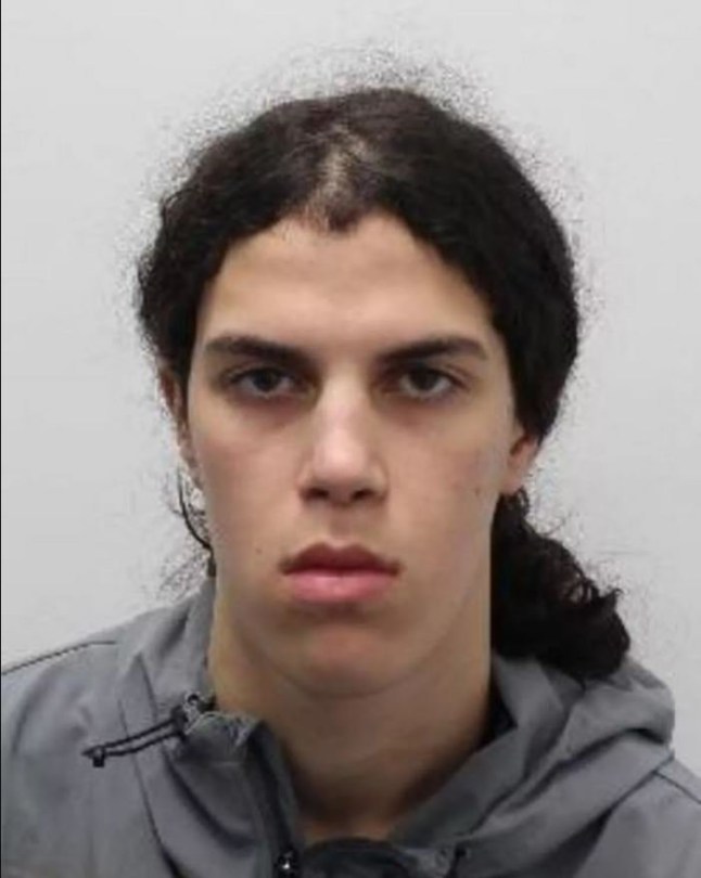 Zachariah Boulares who stole a mobile phone from Bridgerton star Genevieve Chenneour at Joe & The Juice in Kensington to leave the actress suffering concussion. Algerian Boulares, 18, who has an appalling criminal record, will be sentenced later this month.
