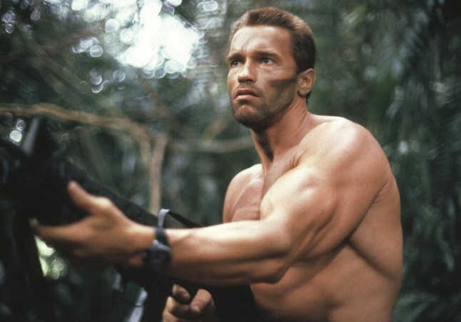 Editorial use only. No book cover usage. Mandatory Credit: Photo by 20th Century Fox/Kobal/REX/Shutterstock (5883890n) Arnold Schwarzenegger Predator - 1987 Director: John McTiernan 20th Century Fox USA Scene Still