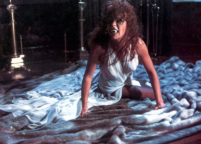 Editorial use only. No book cover usage. Mandatory Credit: Photo by Moviestore/REX/Shutterstock (1573039a) Fright Night Film and Television