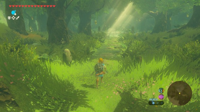 The Legend of Zelda: Breath of the Wild – Nintendo Switch 2 Edition screenshot of Korok Forest