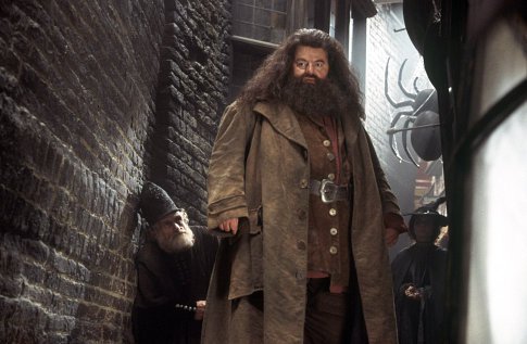 Robbie Coltrane as Rubeus Hagrid, in the Harry Potter movies Credit: Warner Bros
